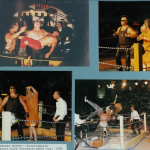 doomsday match wrestlemania park outreach 1996